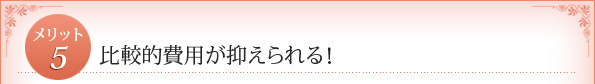 メリット5：　比較的費用が抑えられる！